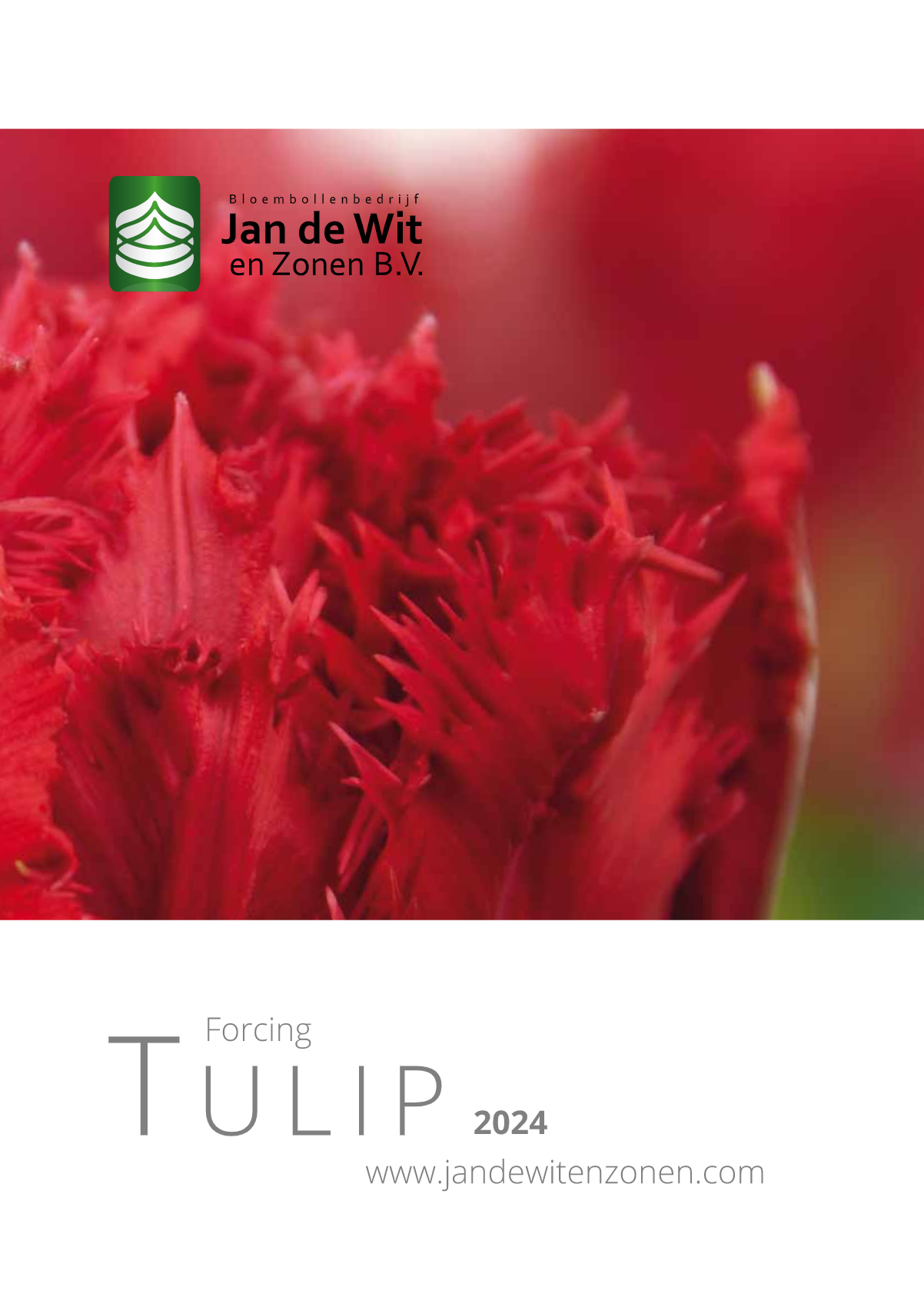brochures-about-us-jan-de-wit-en-zonen-b-v